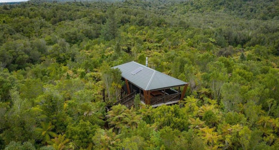 Tantalising Treehouse Escape