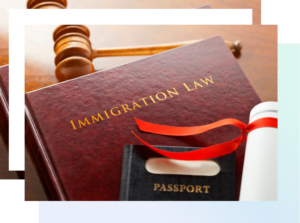 Complex Legal Solutions