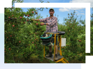 employing overseas workers nz