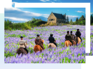 group visitor visa
