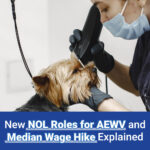 New NOL Roles for AEWV and Median Wage Hike Explained